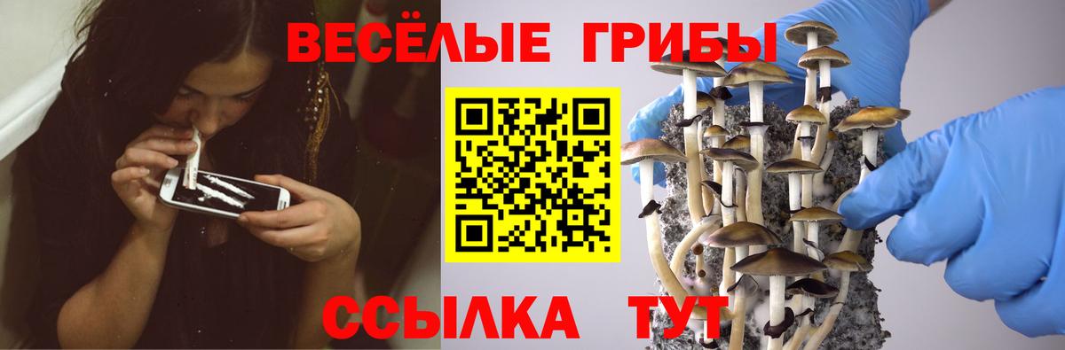 Краснознаменск  Псилоцибиновые грибы Psilocybe  Галлюциногенные грибы прущие грибы  Вход с VPN 